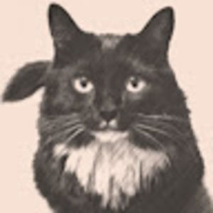 Meet your Posher, Laura & regina